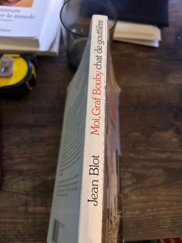 Moi Graf Bouby chat de gouttière - photo numéro 3