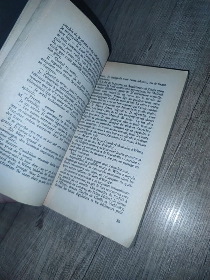 La promesse de l'aube - photo numéro 5