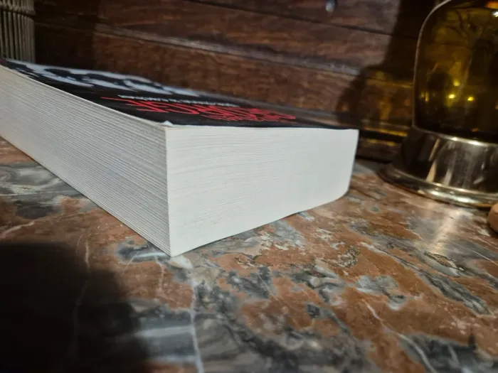 📚 Une chose à Cacher 📚 - photo numéro 4