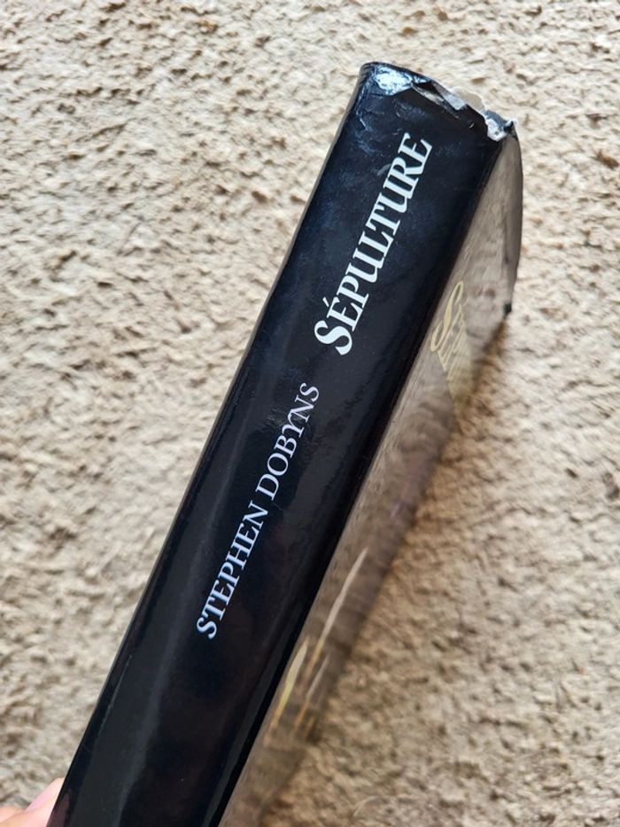 Livre Sépulture de Stephen Dobyns – Thriller psychologique - photo numéro 4