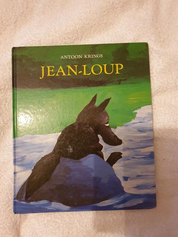 Magnifique livre enfant illustré