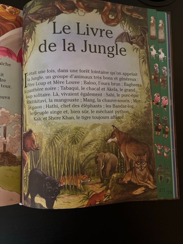 Livre de Contes pour enfants - photo numéro 4