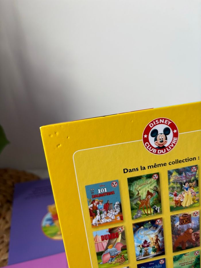 🫶🏼 magnifique collection Walt Disney - photo numéro 3