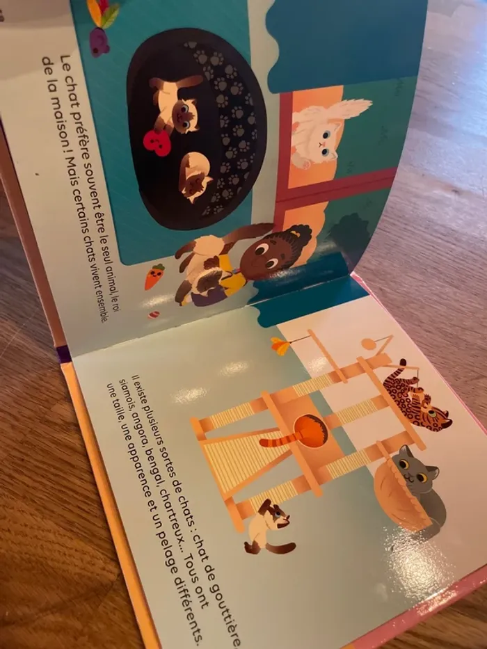 Livre Mes tout premiers Docs Les chats - photo numéro 7