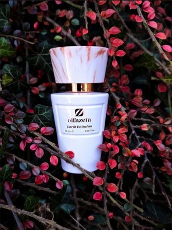 Parfums Chogan