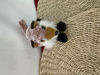 Peluche Ty Beanie Boos Frédéric le renard rouge yeux dorés scintillants