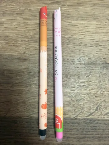  Lot de 2 stylos effaçables – Dindon & cochon