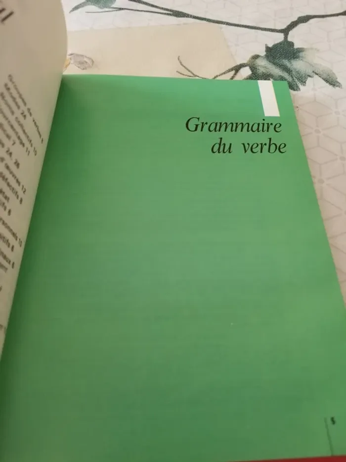Bescherelle la Conjugaison 12000 verbes - photo numéro 4