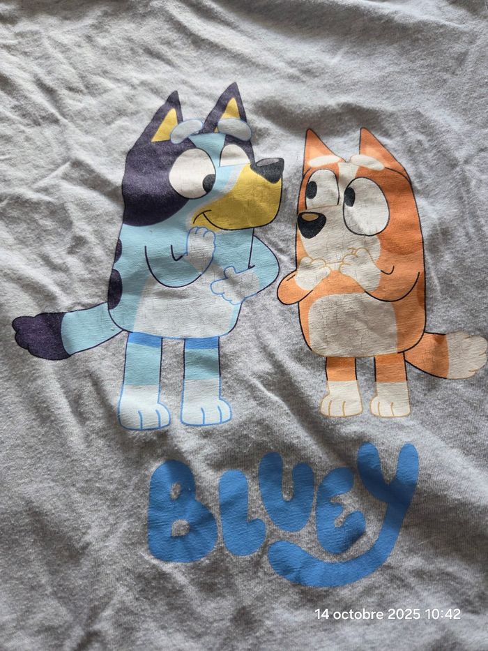 Ensemble Bluey Disney - photo numéro 6