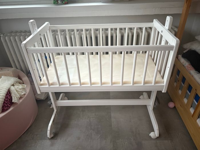 Cododo bois blanc - photo numéro 2