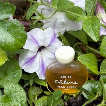 Eau de câline de Jean Patou  parfum miniature
