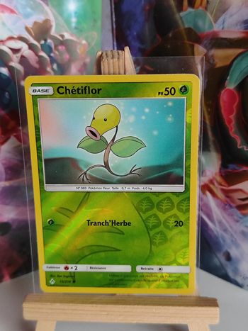 Chériflor reverse 13/214 alliance infaillible