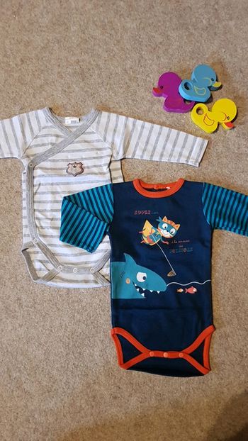 Lot de 2 bodys manches longues garçon 3mois