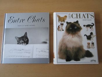 Lot très beaux livres chats