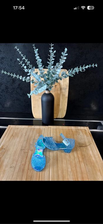 s belle paires de chaussures reine des neige P.24,5