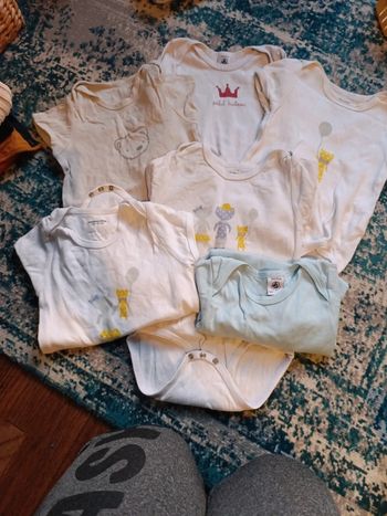 Lot bodies