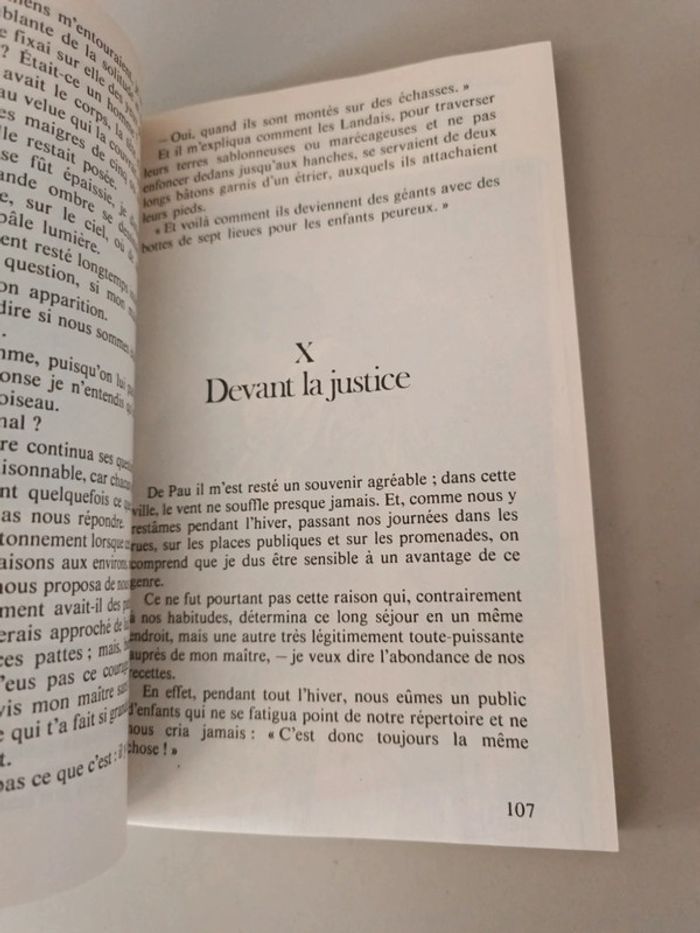 Sans famille première partie Hector malot numéro 612 Folio junior - photo numéro 5