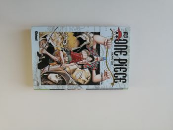 one piece -livre manga 