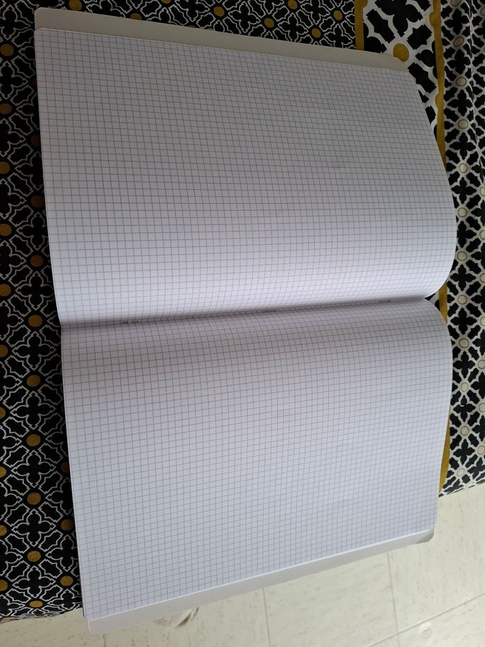 Cahier petits carreaux - photo numéro 3