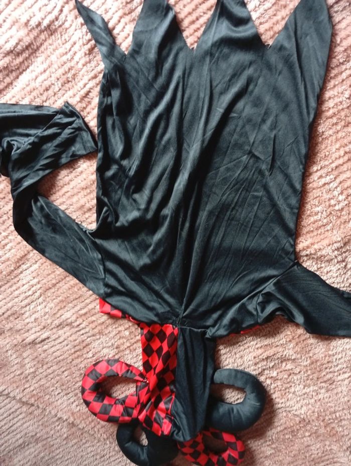 Déguisement arlequin - photo numéro 7