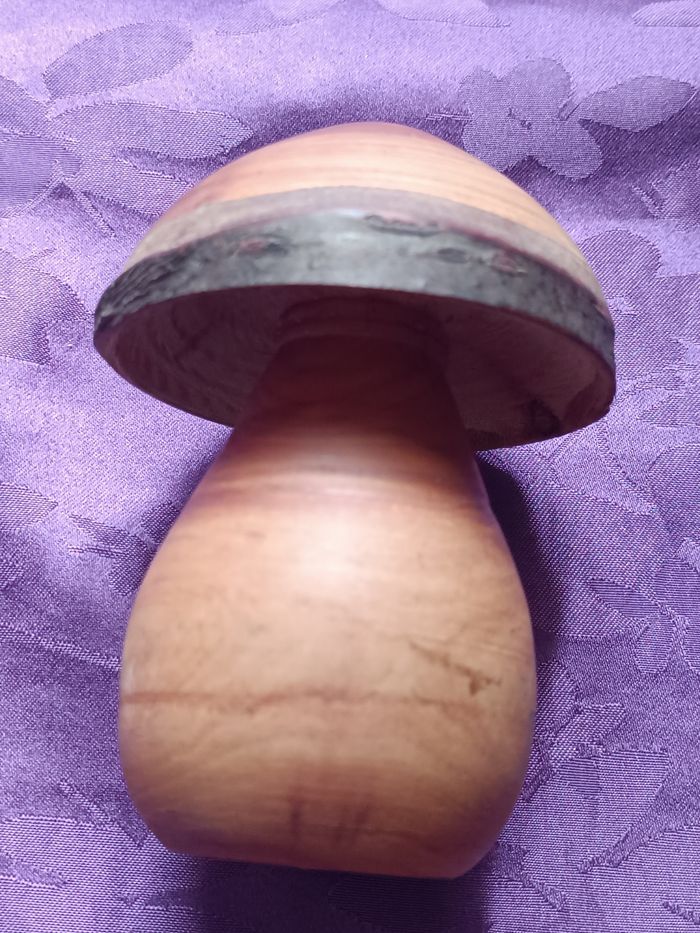 Champignon en bois et autres - photo numéro 5