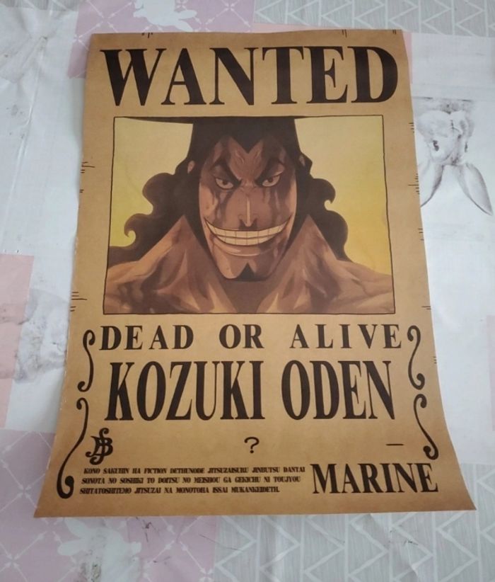 Avis de recherche one piece