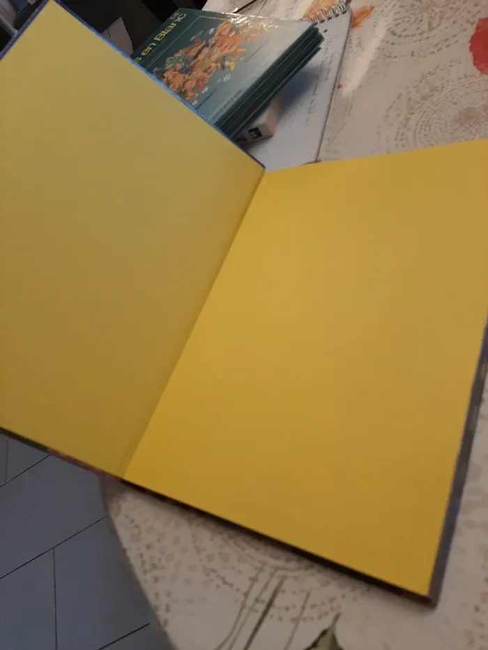 Gros livre disney le bossu de notre dame - photo numéro 4