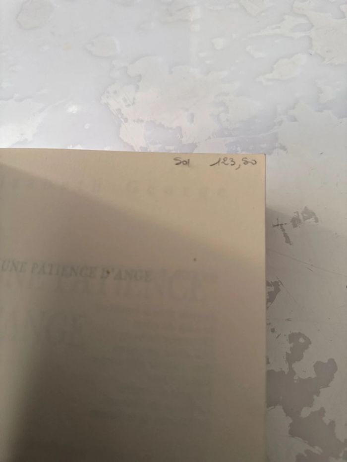 Livre une patiente d’ange - Elizabeth George - photo numéro 3