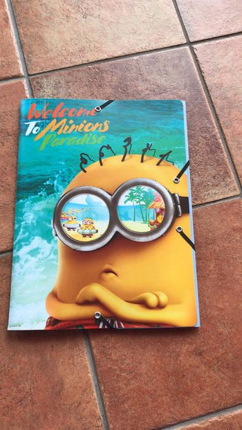 Pochette minions