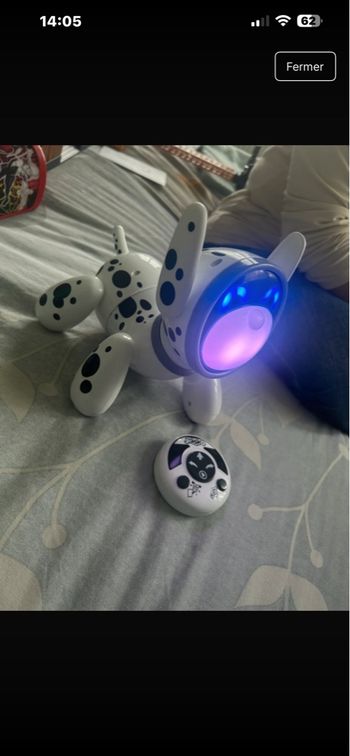 Robot télécommandé