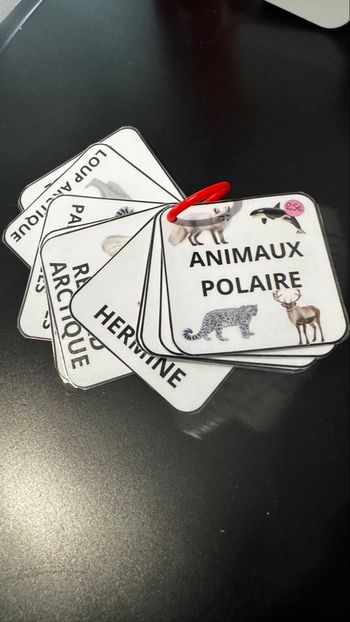 Lot de 5 imagiers sur les animaux