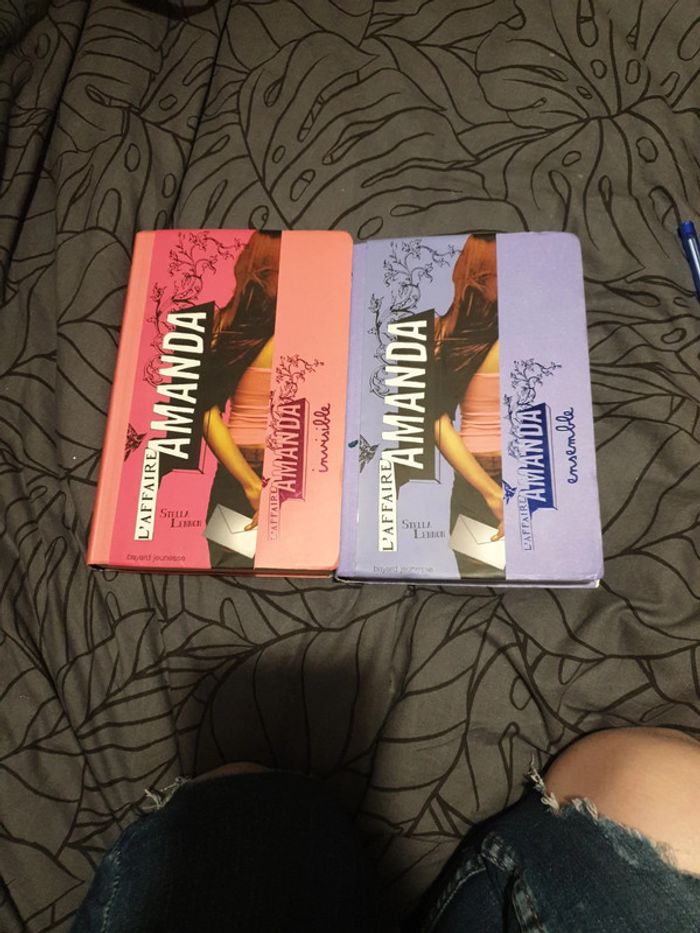 2 livres l'affaire Amanda