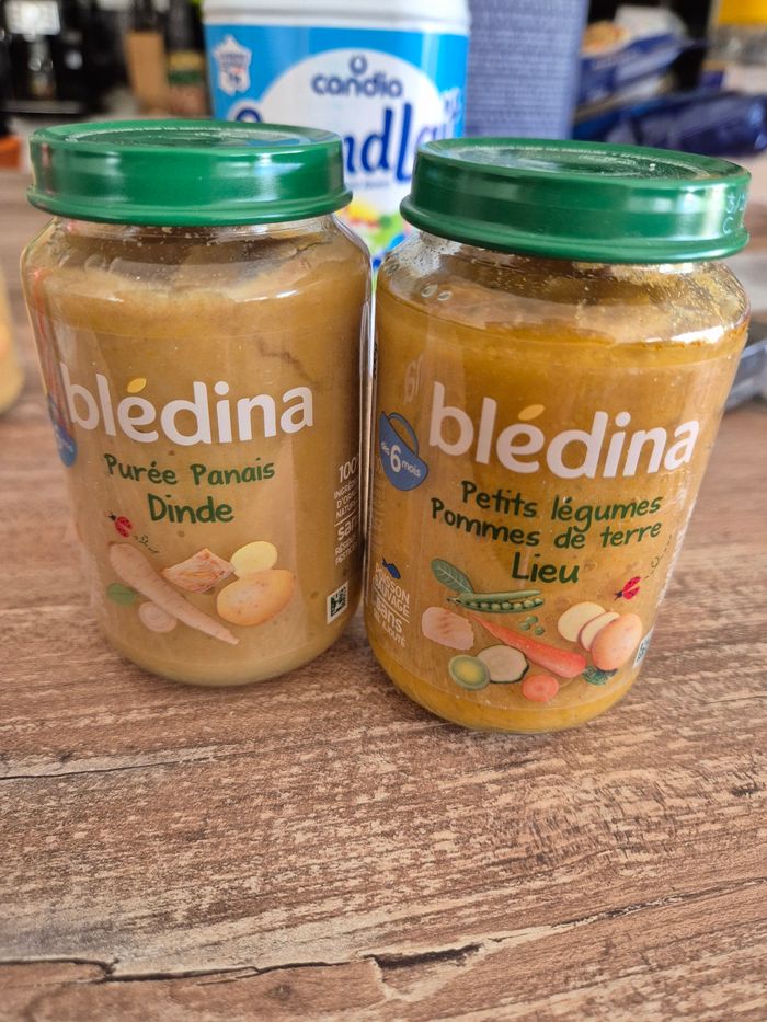 Bledina