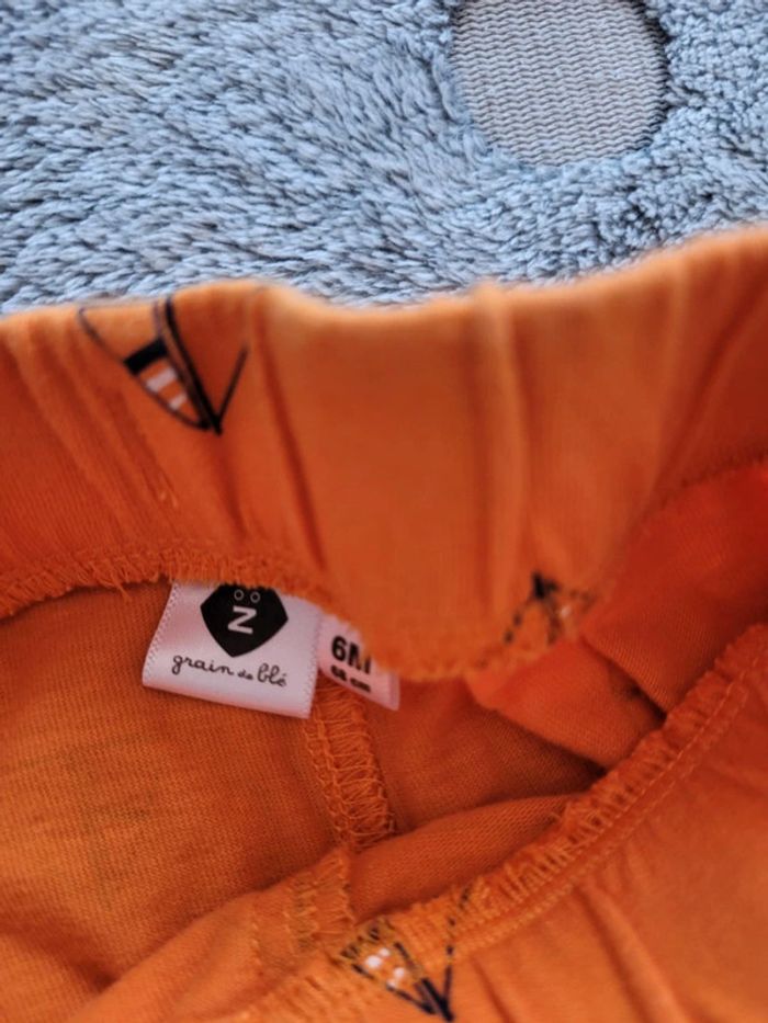 Short 6 mois - photo numéro 3