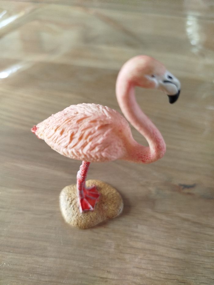 Flamant rose - photo numéro 3