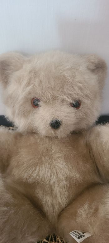 peluche ours vintage eluz collection ou décoration