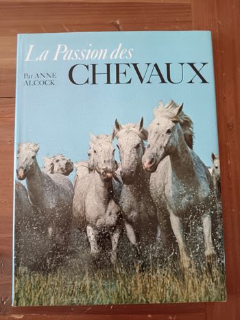 La passion des chevaux