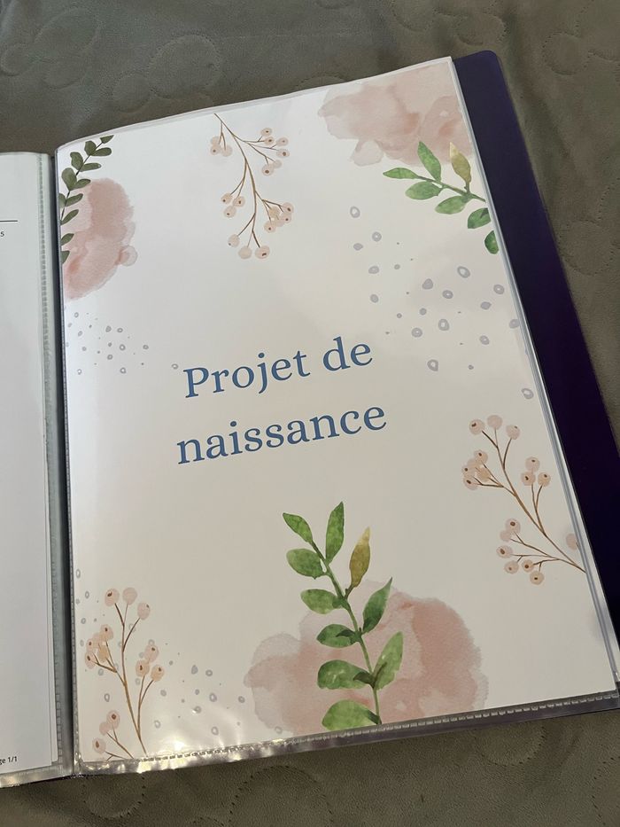 Dossier grossesse - photo numéro 6