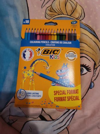 Crayon de couleurs bic x18