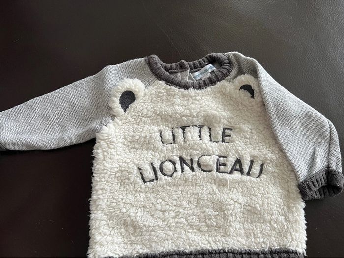 Pull little lionceau