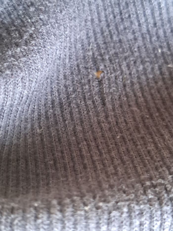 Lot de 3 bodie LM. 12 mois - photo numéro 4