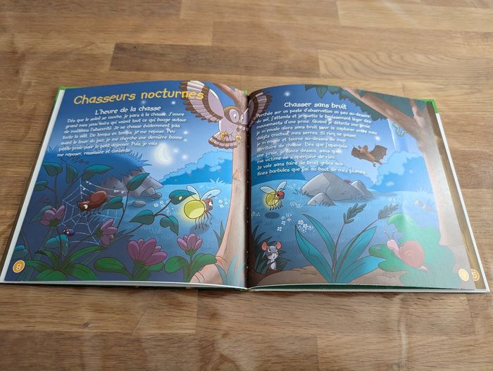 Livre La chouette hulotte avec son animal de la collection Je vis dans la forêt éditions Altaya - photo numéro 4