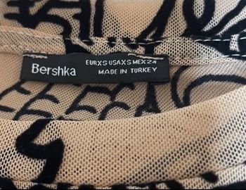 Top transparent dragon