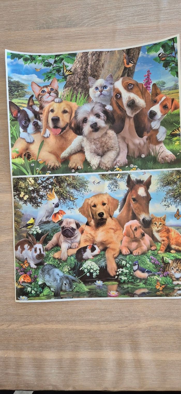 4 puzzles 1000 pièces - photo numéro 3