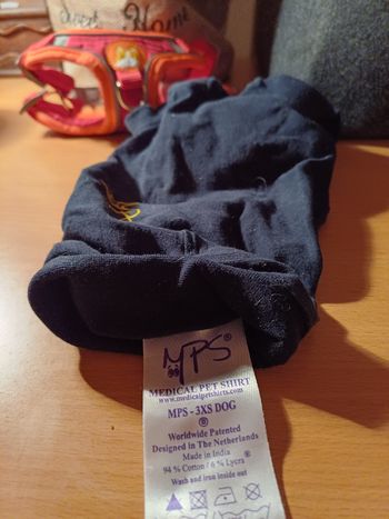 Manteau petit chien et harnais