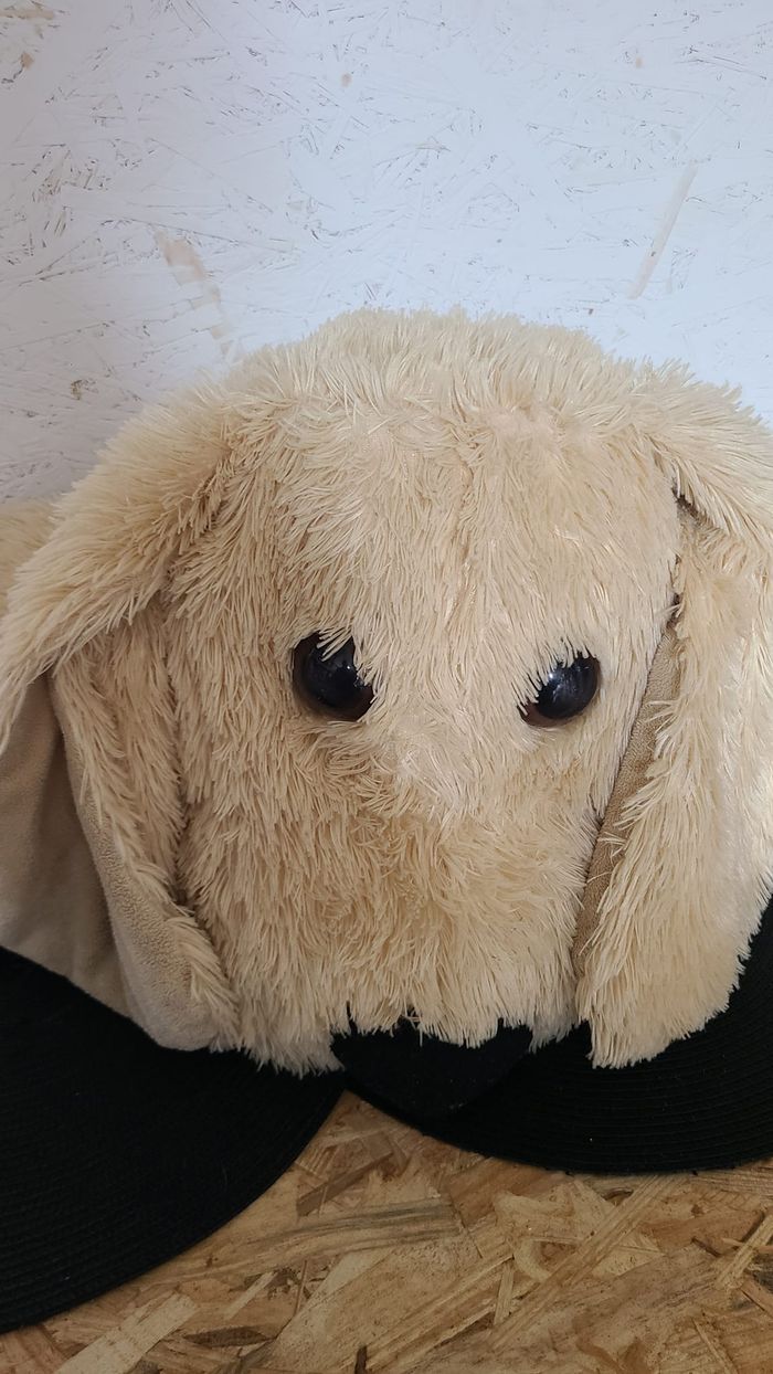 Peluche doudou chien beige yeux et nez noir Bukowski 40 cm - photo numéro 4