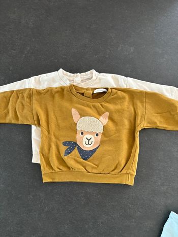 Lot de 2 sweat pull bébé garçon 18mois vertbaudet