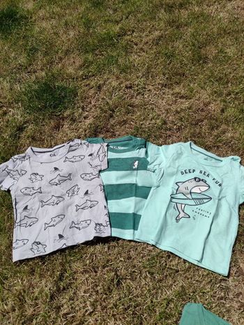 Lot de 3 t-shirts