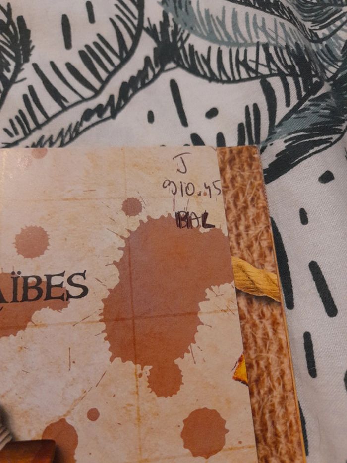 Barbe-Noire et les pirates des caraïbes - photo numéro 4