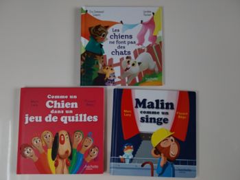 Lot 3 livres expressions françaises – Albums jeunesse – Hachette – Parfait état